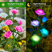 Load image into Gallery viewer, Solar Garden Lights Waterproof LED Outdoor Simulation Rose Flower Solar Light Pathway Lights for Yard Garden Backyard Decor 