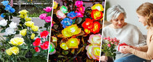 Load image into Gallery viewer, Solar Garden Lights Waterproof LED Outdoor Simulation Rose Flower Solar Light Pathway Lights for Yard Garden Backyard Decor 