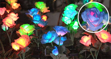 Load image into Gallery viewer, Solar Garden Lights Waterproof LED Outdoor Simulation Rose Flower Solar Light Pathway Lights for Yard Garden Backyard Decor ﻿

